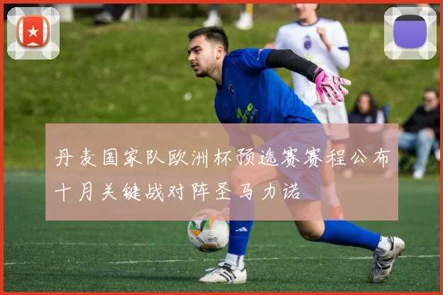 丹麦国家队欧洲杯预选赛赛程公布十月关键战对阵圣马力诺