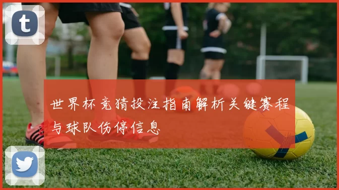 世界杯竞猜投注指南解析关键赛程与球队伤停信息