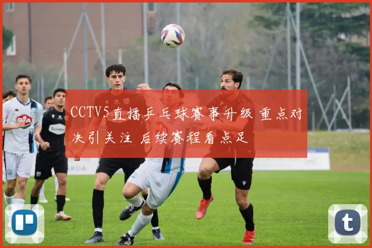 CCTV5直播乒乓球赛事升级 重点对决引关注 后续赛程看点足