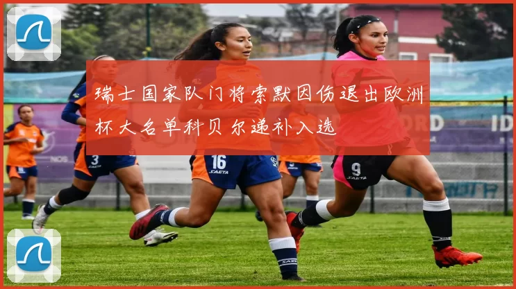 瑞士国家队门将索默因伤退出欧洲杯大名单科贝尔递补入选