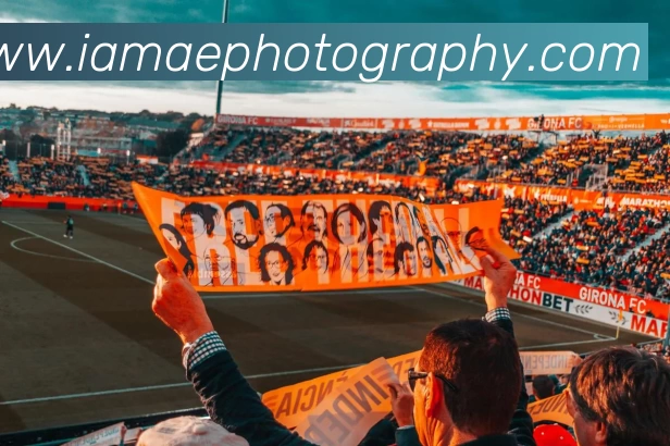 九游个人登录中心平台生态图